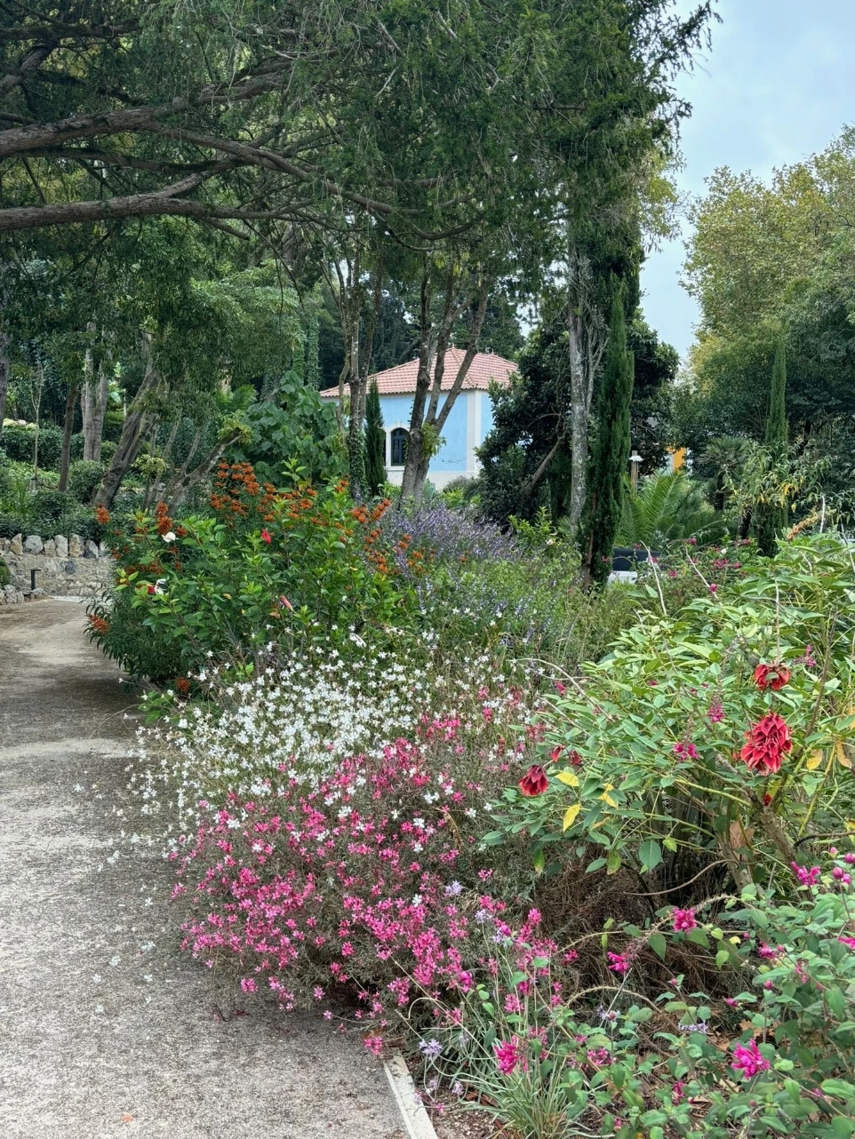 Colourful garden landscaping by Fonseca Gardens